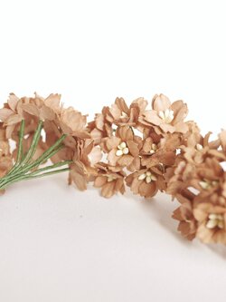 ดอกไม้กระดาษสา ดอกซากุระกระดาษ ขนาดเล็ก ดอกไม้กระดาษสาราคาส่ง ดอกไม้กระดาษสำหรับตกแต่งของชำร่วย งานแต่งงาน ทำช่อดอกไม้ติดอกเจ้าบ่าว ข้อมือดอกไม้เจ้าสาว ขนาด2.0 cm. 50 ดอก สีน้ำตาล Paper flowers supplies: DIY wedding tools small Cherry blossom (Sakura)