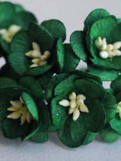 ดอกไม้กระดาษสา ดอกซากุระกระดาษ ดอกไม้กระดาษสาราคาส่ง ดอกไม้กระดาษสำหรับตกแต่งของชำร่วย งานแต่งงาน ทำช่อดอกไม้ติดอกเจ้าบ่าว ข้อมือดอกไม้เจ้าสาว ขนาด2.5 cm. 50 ดอก สีเขียวเข้มคริสมาส Paper flowers supplies: DIY wedding tools Cherry blossom (Sakura) 50 pcs.