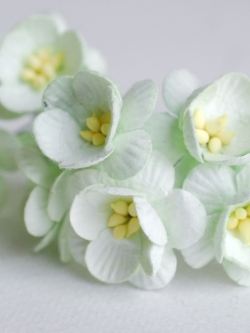 ดอกไม้กระดาษสา ดอกซากุระกระดาษ ดอกไม้กระดาษสาราคาส่ง ดอกไม้กระดาษสำหรับตกแต่งของชำร่วย งานแต่งงาน ทำช่อดอกไม้ติดอกเจ้าบ่าว ข้อมือดอกไม้เจ้าสาว ขนาด2.5 cm. 50 ดอก Paper flowers supplies: DIY wedding tools Cherry blossom (Sakura) 50 pcs. size 2.5 cm. mint g