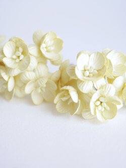 ดอกไม้กระดาษสา ดอกซากุระกระดาษ ขนาดเล็ก ดอกไม้กระดาษสาราคาส่ง ดอกไม้กระดาษสำหรับตกแต่งของชำร่วย งานแต่งงาน ทำช่อดอกไม้ติดอกเจ้าบ่าว ข้อมือดอกไม้เจ้าสาว ขนาด 2.5 cm. 50 ดอก สีเหลือง Paper flowers supplies: DIY wedding tools small Cherry blossom (Sakura)