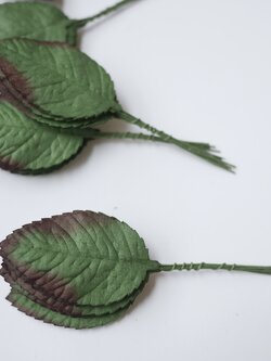 ใบไม้กระดาษ ใบไม้กระดาษสา ราคาส่ง,ใบไม้กุหลาบกระดาษ สำหรับดอกกุหลาบกระดาษสา ใบไม้ประดิษฐ์ สำหรับตกแต่ง หรืองานแต่งงาน สีเขียวเข้มปัดสีแดง ขนาด 6x4.5 cm. จำนวน 50 ใบ