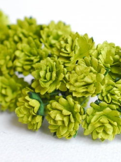 ดอกไม้ประดิษฐ์, ดอกไม้กระดาษสา, ดอก gypsophila, ดอกยิปโซ งานประดิษฐ์ตกแต่งของชำร่วย, ดอกไม้ทำพานพุ่ม,พานพวงมาลัย, พานรับไหว้, ขนาด 1.5 cm. สีเขียว สำเนา
