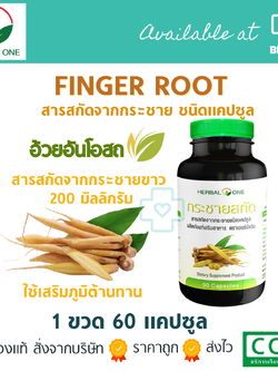HERBAL ONE Finger Root Extract กระชายสกัด 60 แคปซูล