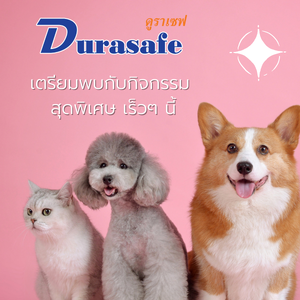 เทศกาลวันสัตว์โลกน่ารัก