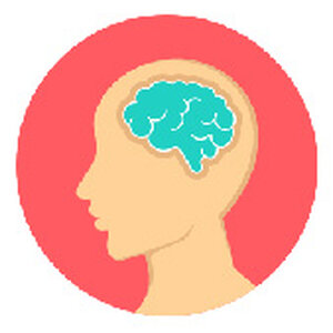 บำรุงสมองและระบบประสาท