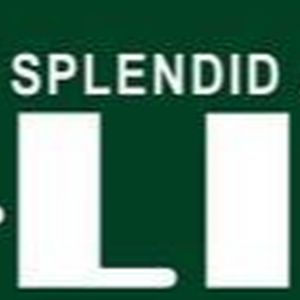 แผ่นฝ้าและผนัง ALINE