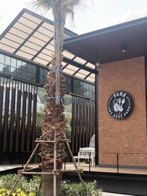 MwooD - 2"x4" @ KFC SHELL ลำลูกกา ปทุมธานี