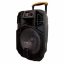 ดอก 12 นิ้ว ML-200510 -T12 ลำโพงบลูทูธ Soundmilan