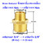 ข้อลดเหลี่ยมทองเหลือง เกลียวนอก (Male) x เกลียวนอก (Male)